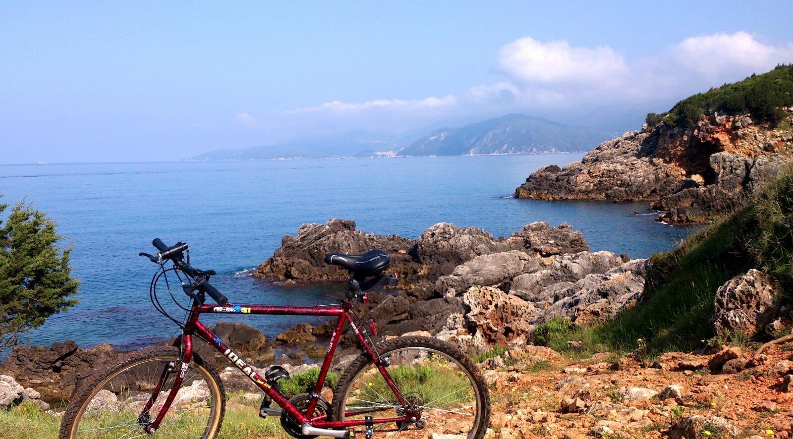 Πλακόστρωτο μονοπάτι μέσα στο ευκαλυπτόδασος της Αμμουδιάς — φωτογραφία 1