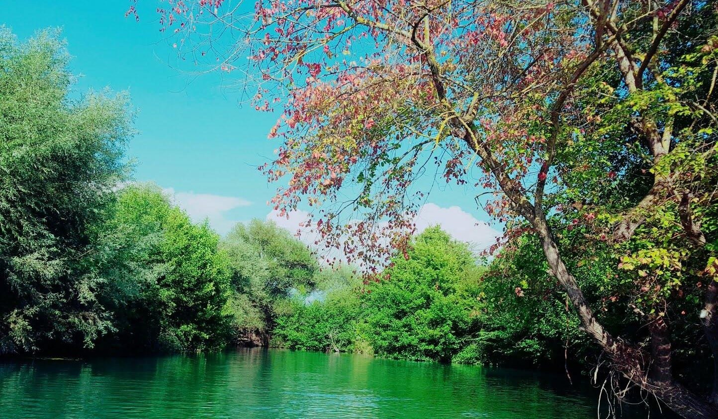 Καγιάκ στα ήρεμα νερά του Αχέροντα, κοντά στην Αμμουδιά — φωτογραφία 2